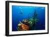 Free Diver Exploring the Ship Wreck in Tropical Clear Sea-Dudarev Mikhail-Framed Photographic Print