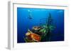 Free Diver Exploring the Ship Wreck in Tropical Clear Sea-Dudarev Mikhail-Framed Photographic Print