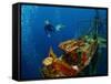 Free Diver Exploring the Ship Wreck in Tropical Sea-Dudarev Mikhail-Framed Stretched Canvas