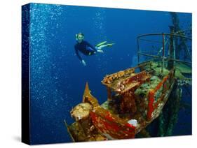 Free Diver Exploring the Ship Wreck in Tropical Sea-Dudarev Mikhail-Stretched Canvas