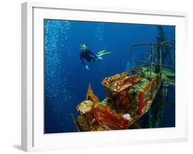 Free Diver Exploring the Ship Wreck in Tropical Sea-Dudarev Mikhail-Framed Photographic Print