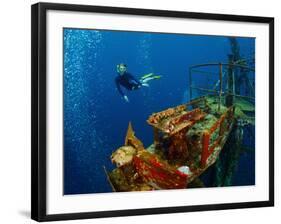 Free Diver Exploring the Ship Wreck in Tropical Sea-Dudarev Mikhail-Framed Photographic Print