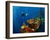 Free Diver Exploring the Ship Wreck in Tropical Sea-Dudarev Mikhail-Framed Photographic Print