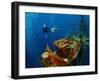 Free Diver Exploring the Ship Wreck in Tropical Sea-Dudarev Mikhail-Framed Photographic Print