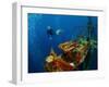 Free Diver Exploring the Ship Wreck in Tropical Sea-Dudarev Mikhail-Framed Photographic Print
