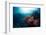 Free Diver Exploring Vivid Coral Reef in Tropical Sea-Dudarev Mikhail-Framed Photographic Print