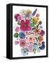 Free Floral I-Larisa Hernandez-Framed Stretched Canvas