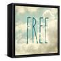 Free in the Clouds-Sarah Gardner-Framed Stretched Canvas