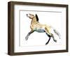 Free (Przewalski),2012-Mark Adlington-Framed Giclee Print