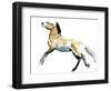 Free (Przewalski),2012-Mark Adlington-Framed Giclee Print