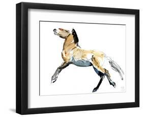 Free (Przewalski),2012-Mark Adlington-Framed Giclee Print