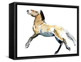 Free (Przewalski),2012-Mark Adlington-Framed Stretched Canvas