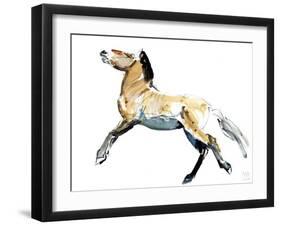 Free (Przewalski),2012-Mark Adlington-Framed Giclee Print