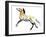 Free (Przewalski),2012-Mark Adlington-Framed Giclee Print