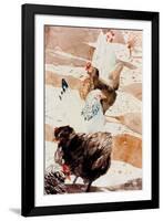 Free Range Chickens-Micheal Zarowsky-Framed Giclee Print