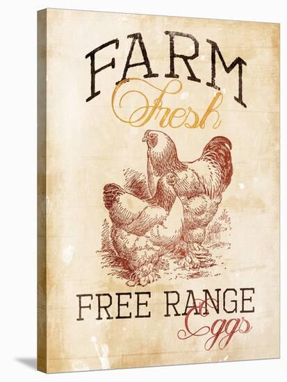 Free Range Eggs-Jace Grey-Stretched Canvas