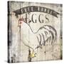 Free Range Eggs-OnRei-Stretched Canvas