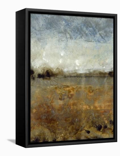 Free Range I-Tim O'toole-Framed Stretched Canvas