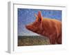 Free Range Pig-James W. Johnson-Framed Giclee Print