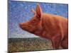 Free Range Pig-James W. Johnson-Mounted Giclee Print