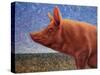 Free Range Pig-James W. Johnson-Stretched Canvas