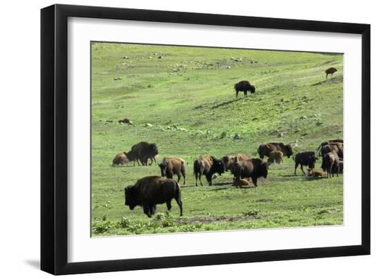Premium Photographic Print, , large