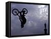 Free Ride BMX Practice-null-Framed Stretched Canvas