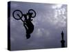 Free Ride BMX Practice-null-Stretched Canvas