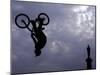 Free Ride BMX Practice-null-Mounted Premium Photographic Print