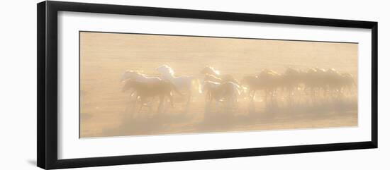 Free Run-Dan Ballard-Framed Photographic Print