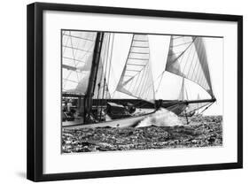 Free Sailing-Jorge Llovet-Framed Giclee Print