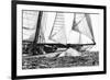 Free Sailing-Jorge Llovet-Framed Giclee Print