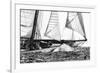 Free Sailing-Jorge Llovet-Framed Giclee Print