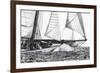 Free Sailing-Jorge Llovet-Framed Art Print