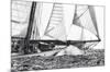 Free Sailing-Jorge Llovet-Mounted Art Print