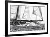 Free Sailing-Jorge Llovet-Framed Art Print