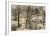 Free Selector's Hut, Australia, 1879-McFarlane and Erskine-Framed Giclee Print