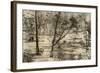 Free Selector's Hut, Australia, 1879-McFarlane and Erskine-Framed Giclee Print