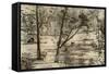 Free Selector's Hut, Australia, 1879-McFarlane and Erskine-Framed Stretched Canvas