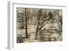 Free Selector's Hut, Australia, 1879-McFarlane and Erskine-Framed Giclee Print