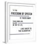 Free Speech - Washington-Otto Gibb-Framed Giclee Print