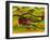 Free Spirit Farmland Lang 2018-Cheryl Bartley-Framed Giclee Print