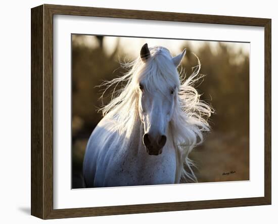 Free Spirit-Barry Hart-Framed Giclee Print