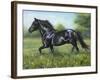 Free Spirit-Jenny Newland-Framed Giclee Print