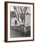 Brown Frame