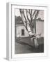 White Frame