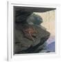 Free Tailed Bat-Louis Agassiz Fuertes-Framed Giclee Print