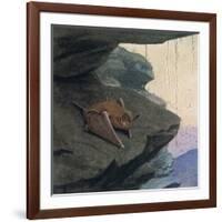 Free Tailed Bat-Louis Agassiz Fuertes-Framed Giclee Print