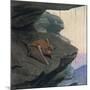 Free Tailed Bat-Louis Agassiz Fuertes-Mounted Giclee Print
