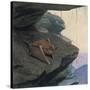 Free Tailed Bat-Louis Agassiz Fuertes-Stretched Canvas